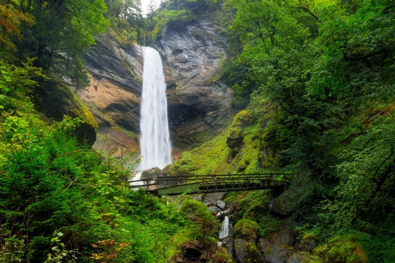 Wasserfall im gruenen wald