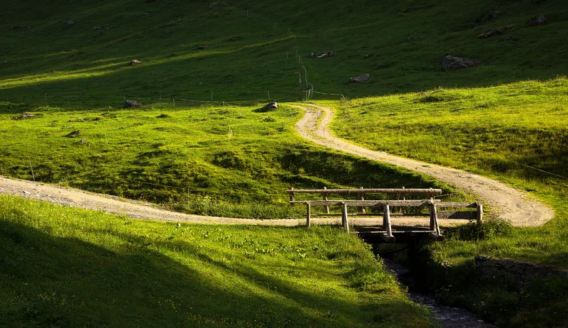 Gewundener weg mit holzbruecke ueber gruene wiesen