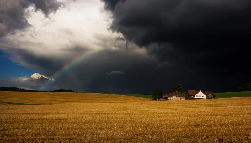 Gewitterwolken ueber einem goldenen feld