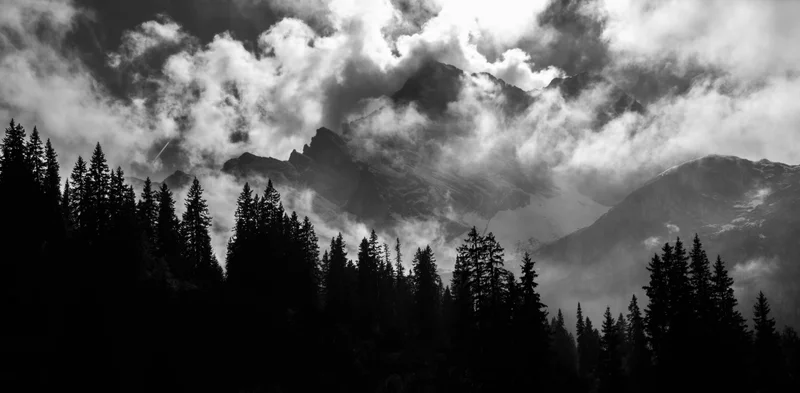 Wolken ueber tannen in schwarzweiss