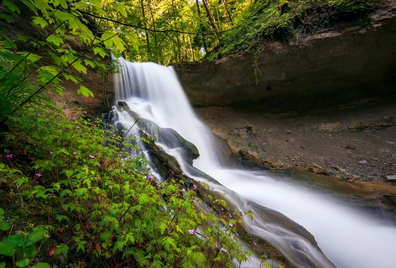 Wasserfall ueber felsstufen im wald