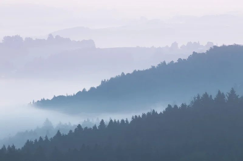 Waldhuegel im Nebel