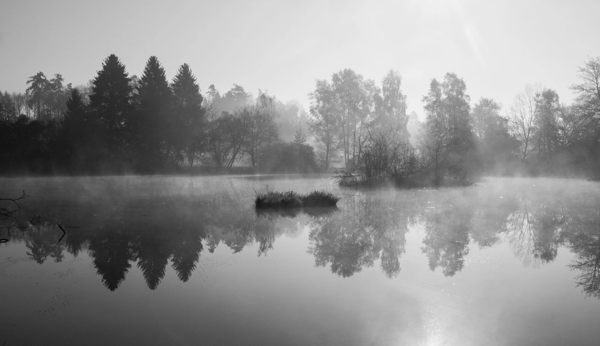 Hochmoor Wildert bei Illnau