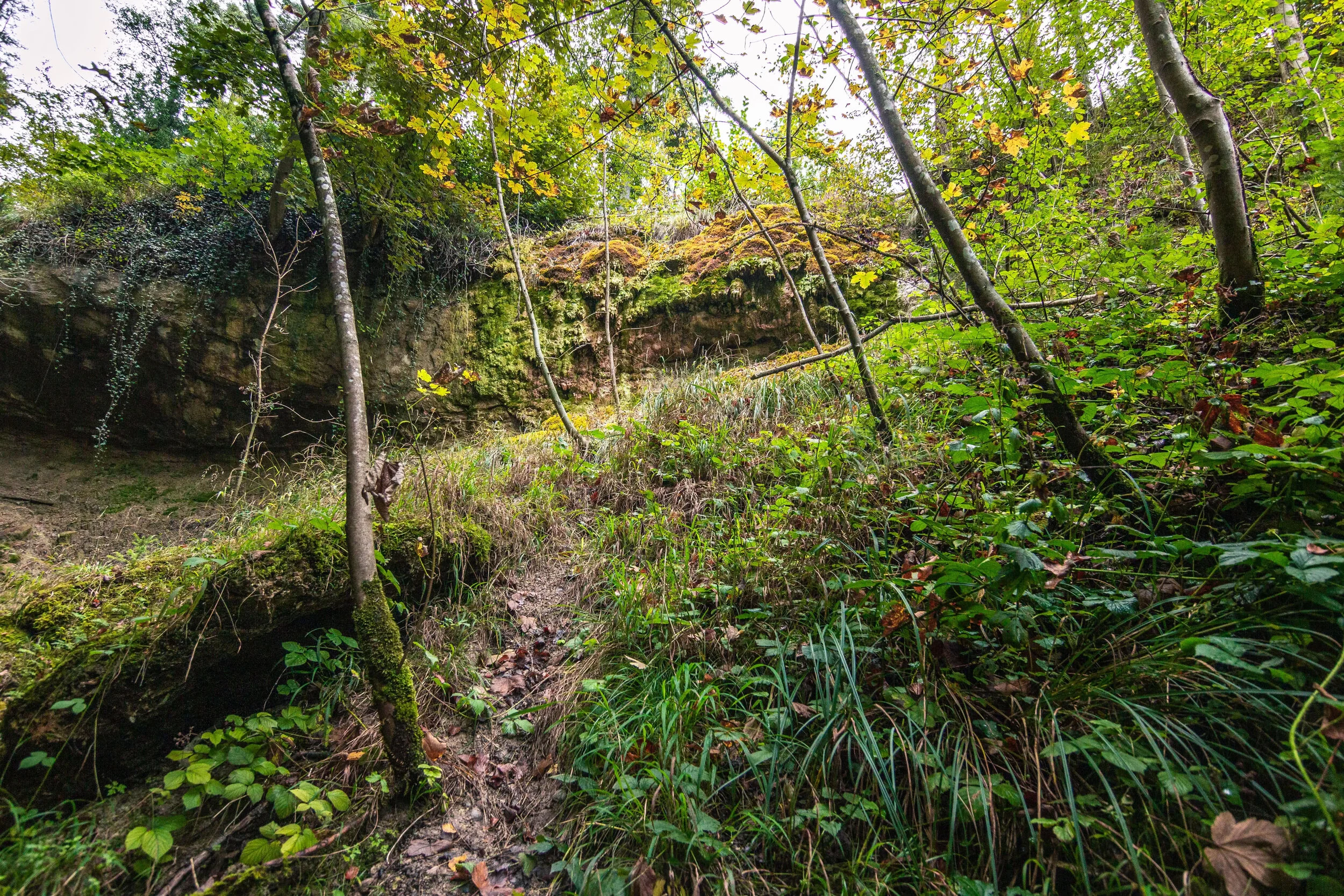 Tätschtobel und Wasserfall bei Illnau