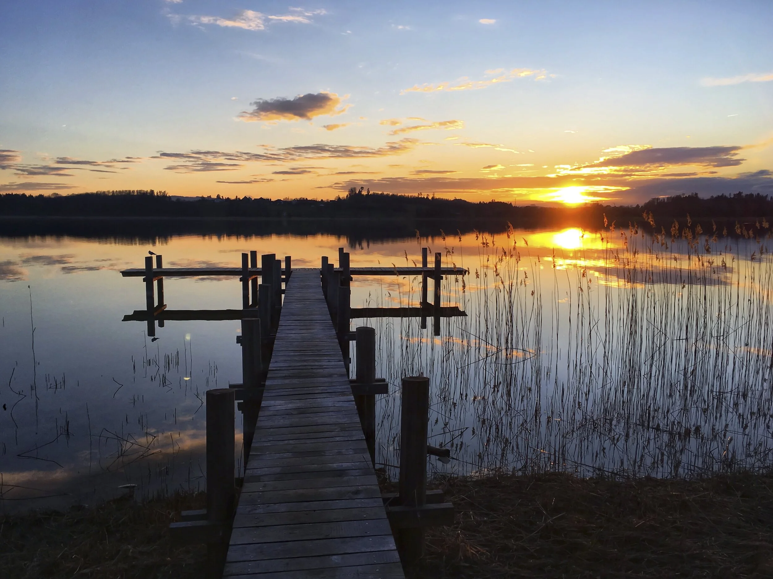 Seestege am Pfäffikersee