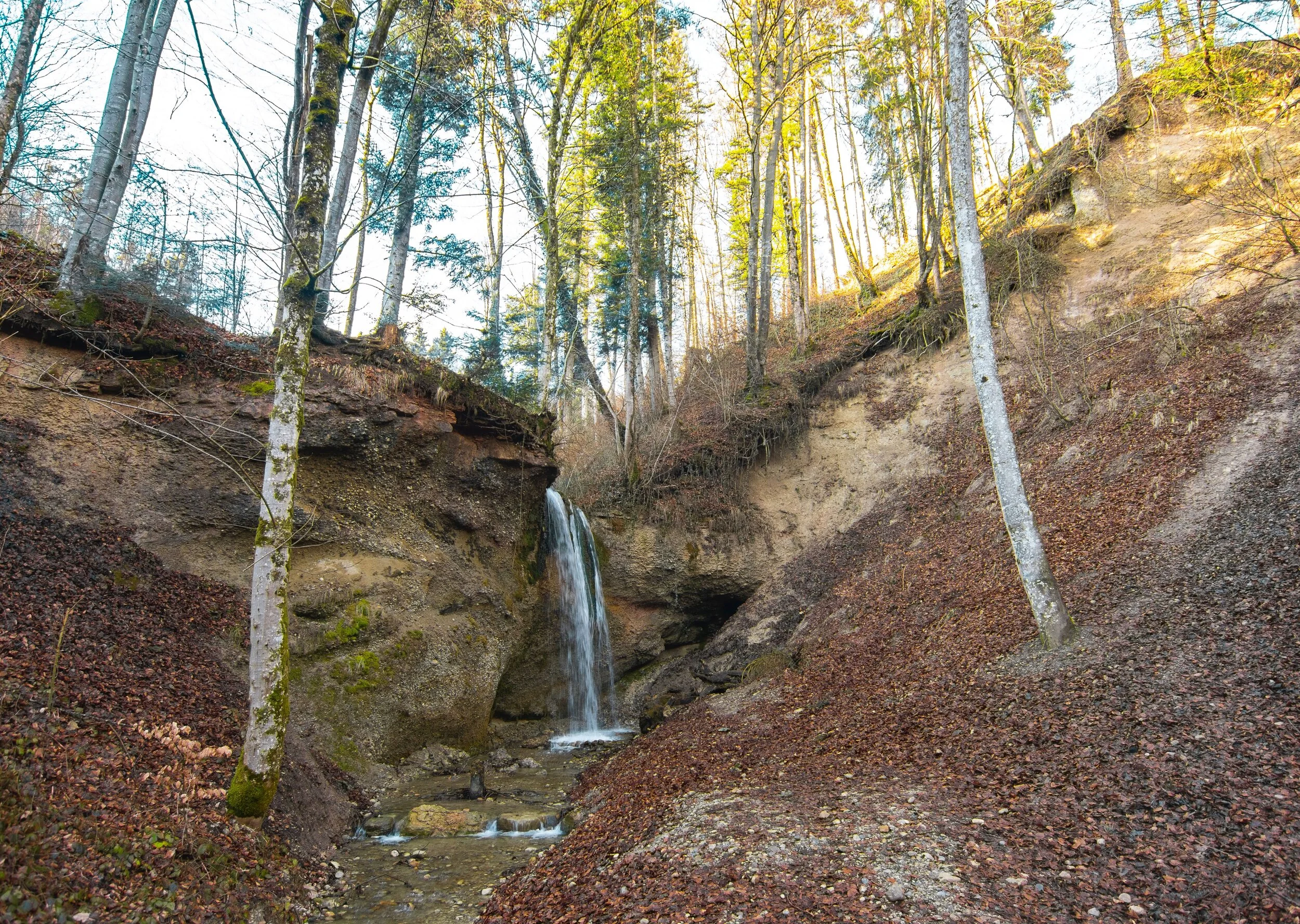 Tobelweiher